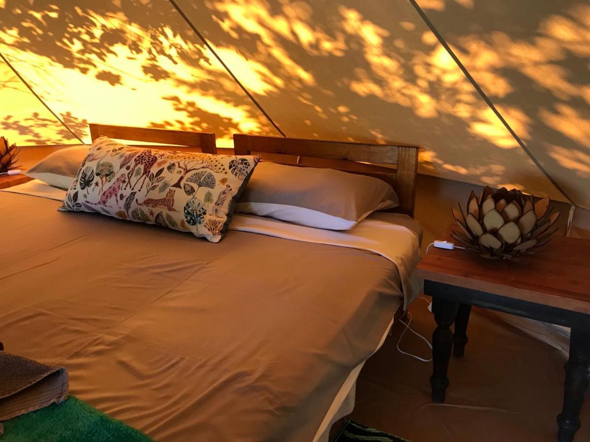 Hluhluwe Bush Camp Glamping Village מראה חיצוני תמונה