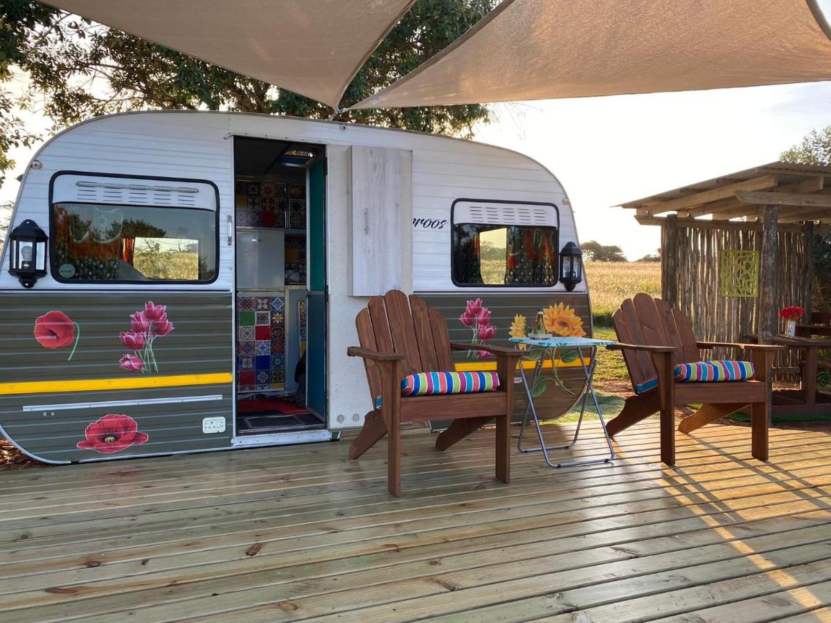 Hluhluwe Bush Camp Glamping Village מראה חיצוני תמונה